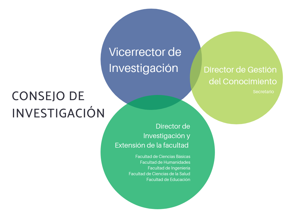 Estructura consejo de investigacion