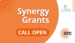 Internacional - Investigación: Convocatoria ERC Synergy Grants (Centro Europeo de Investigación)