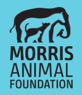 Internacional - Investigación en salud animal 2026