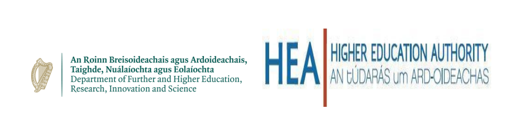 Beca Internacional de Educación - Gobierno de Irlandia