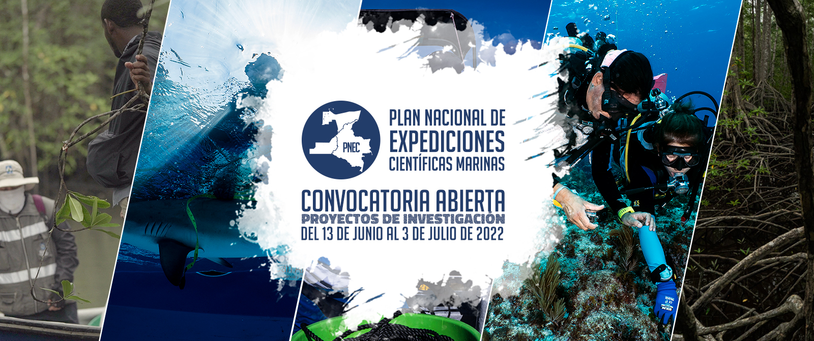 Plan Nacional de Expediciones Científicas Marinas (PNEC)