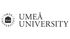 Beca Postdoctoral en Seguridad de Software -  Umea University